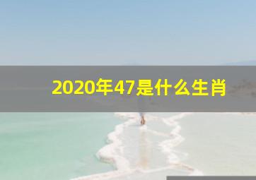 2020年47是什么生肖