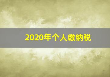 2020年个人缴纳税