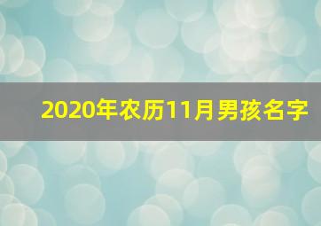 2020年农历11月男孩名字