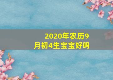 2020年农历9月初4生宝宝好吗