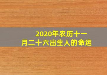 2020年农历十一月二十六出生人的命运