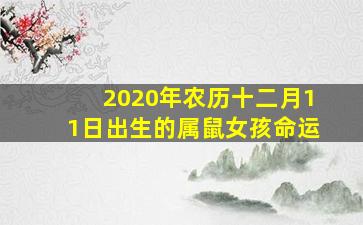 2020年农历十二月11日出生的属鼠女孩命运