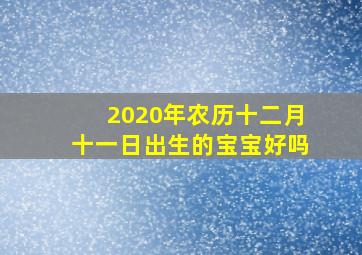 2020年农历十二月十一日出生的宝宝好吗