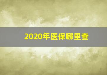 2020年医保哪里查