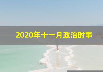 2020年十一月政治时事