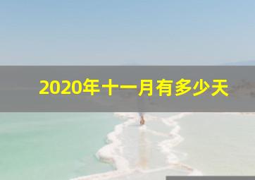 2020年十一月有多少天