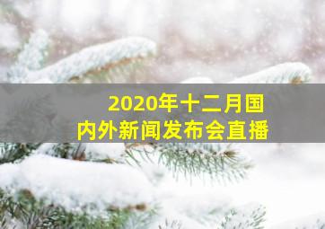 2020年十二月国内外新闻发布会直播