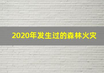 2020年发生过的森林火灾