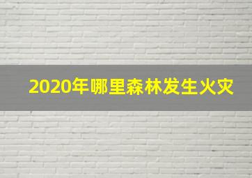 2020年哪里森林发生火灾