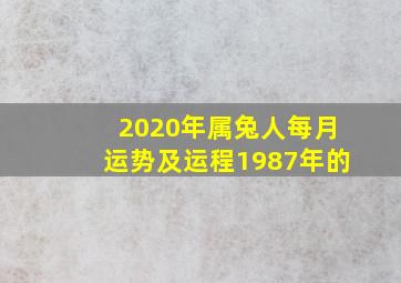 2020年属兔人每月运势及运程1987年的