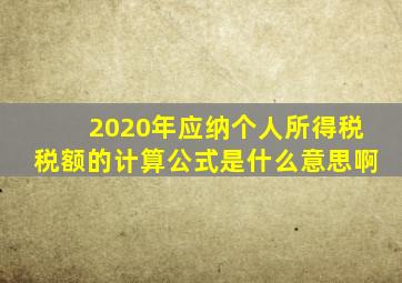 2020年应纳个人所得税税额的计算公式是什么意思啊