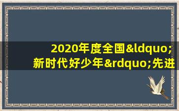 2020年度全国“新时代好少年”先进事迹发布会活动节目