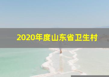 2020年度山东省卫生村