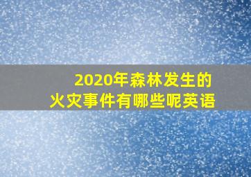 2020年森林发生的火灾事件有哪些呢英语