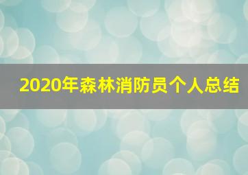 2020年森林消防员个人总结