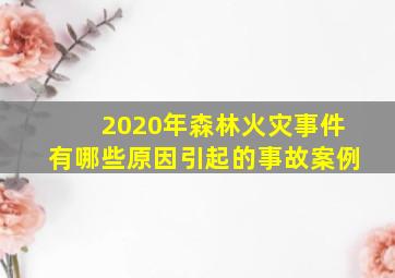 2020年森林火灾事件有哪些原因引起的事故案例