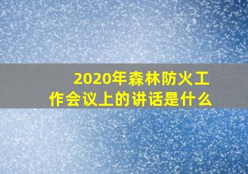 2020年森林防火工作会议上的讲话是什么