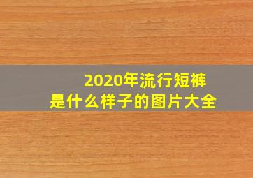 2020年流行短裤是什么样子的图片大全