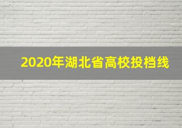 2020年湖北省高校投档线