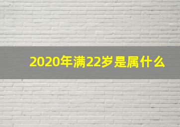 2020年满22岁是属什么