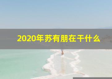 2020年苏有朋在干什么