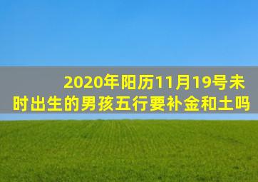 2020年阳历11月19号未时出生的男孩五行要补金和土吗