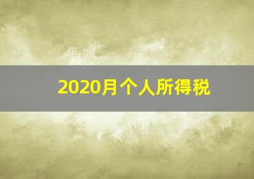 2020月个人所得税