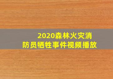 2020森林火灾消防员牺牲事件视频播放