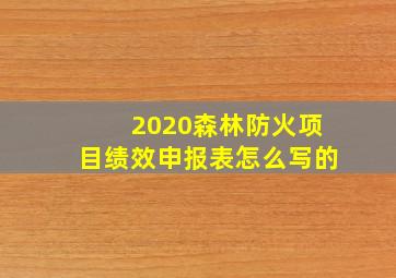 2020森林防火项目绩效申报表怎么写的