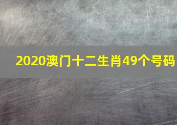 2020澳门十二生肖49个号码