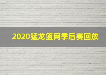 2020猛龙篮网季后赛回放