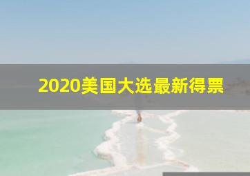 2020美国大选最新得票