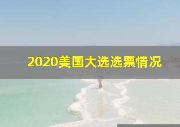 2020美国大选选票情况