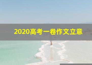 2020高考一卷作文立意