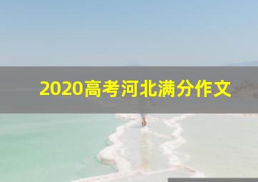 2020高考河北满分作文