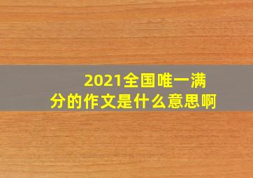 2021全国唯一满分的作文是什么意思啊