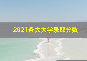 2021各大大学录取分数