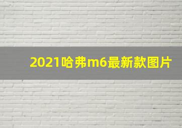 2021哈弗m6最新款图片