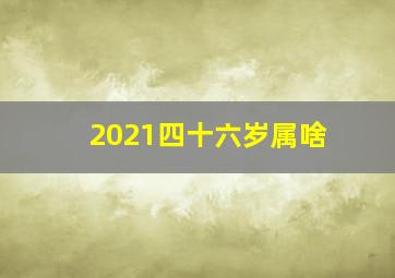 2021四十六岁属啥