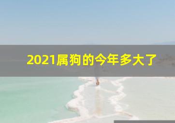 2021属狗的今年多大了