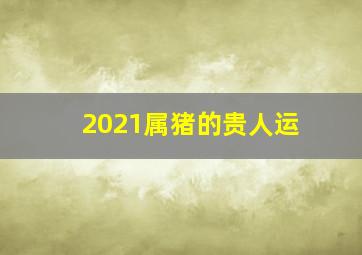 2021属猪的贵人运