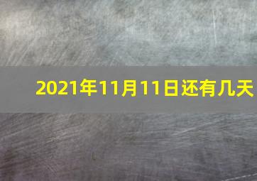 2021年11月11日还有几天