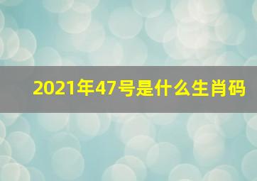 2021年47号是什么生肖码