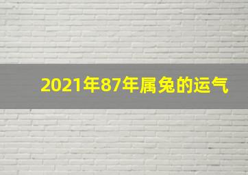 2021年87年属兔的运气