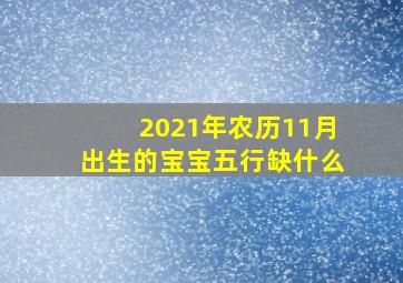 2021年农历11月出生的宝宝五行缺什么