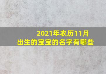 2021年农历11月出生的宝宝的名字有哪些