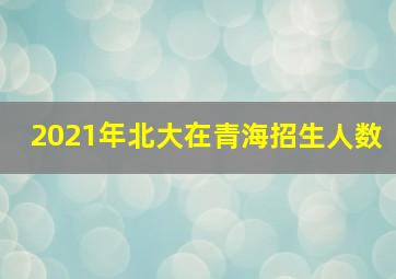 2021年北大在青海招生人数