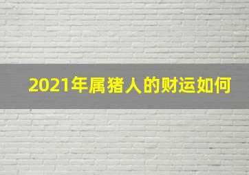 2021年属猪人的财运如何