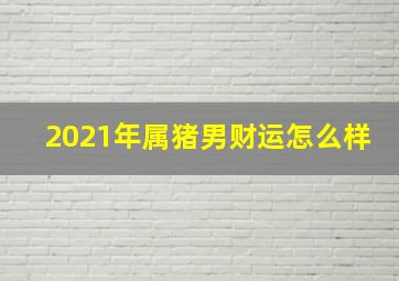 2021年属猪男财运怎么样