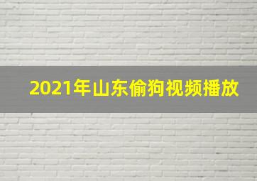 2021年山东偷狗视频播放